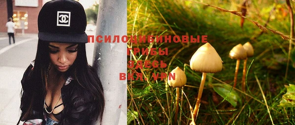 MDMA Михайловск