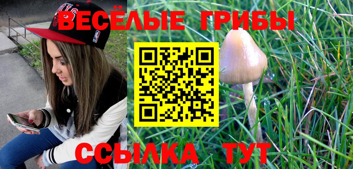 Донской  Галлюциногенные грибы Psilocybe  Псилоцибиновые грибы мицелий  Вход с VPN 
